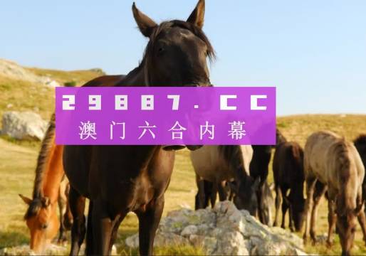 澳门与香港管家婆100%精准图片,全面释义、解释与落实