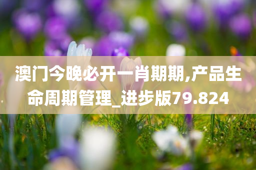 新澳2025年最新版资料,新澳2025年最新资料概览