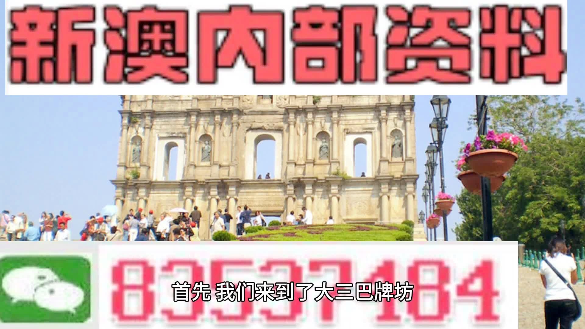 2025年新澳门天天免费精准大全,详细解答、解释与落实