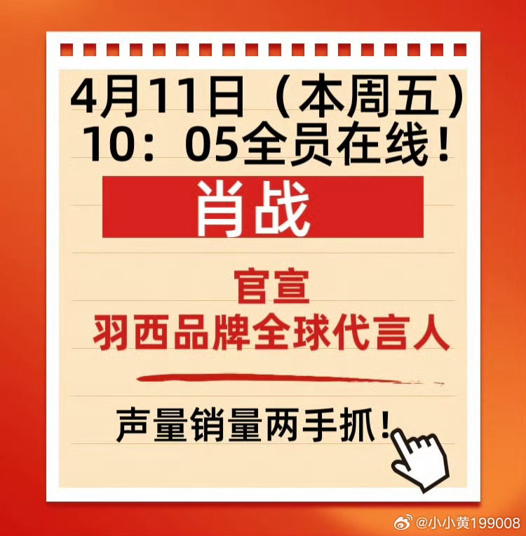 一肖一码一一肖一子,全面释义、解释与落实