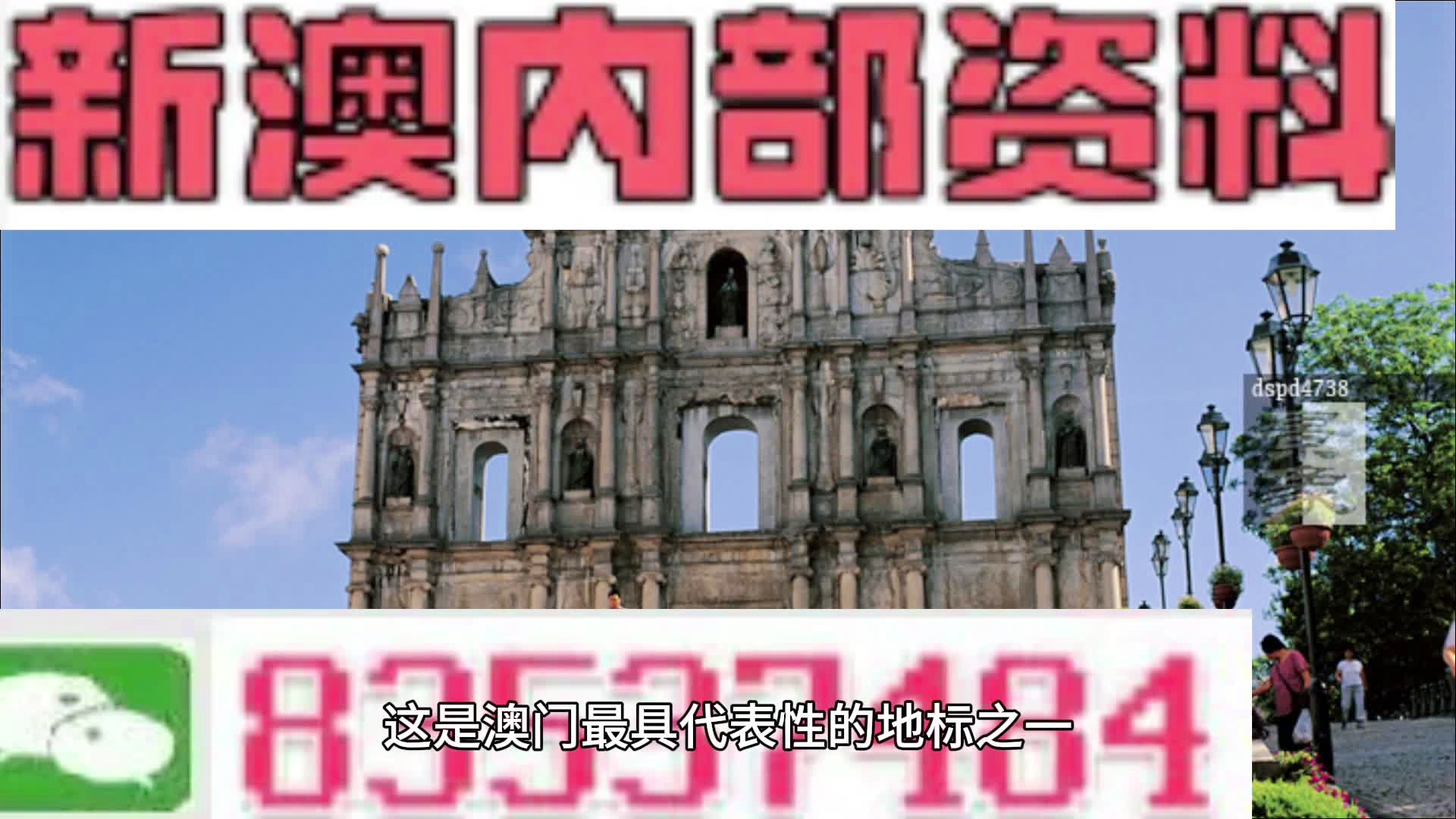 新澳门正版免费资料怎么查,强烈推荐,效果显著