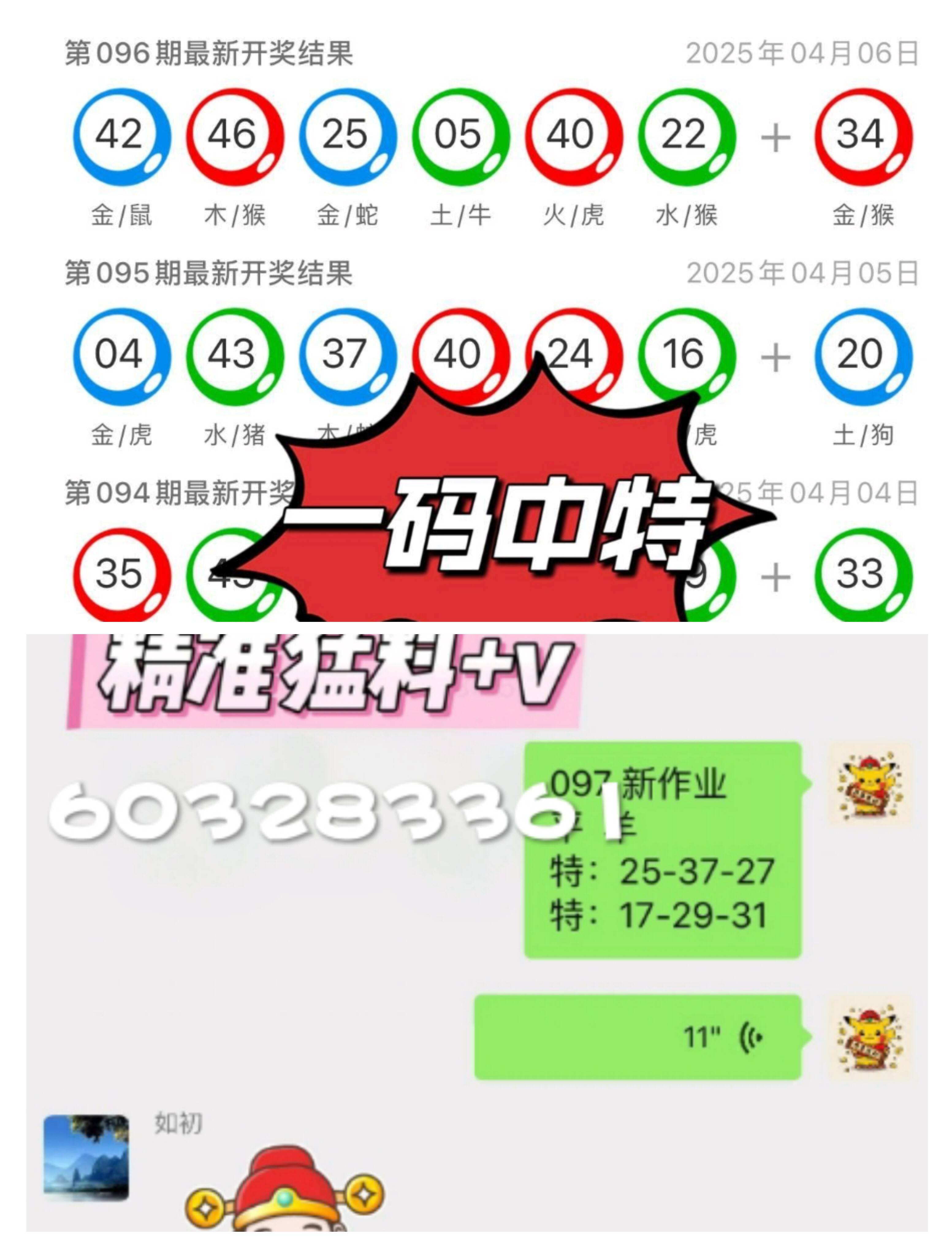 澳门王中王100%资料2025年全面释义解释与落实策略